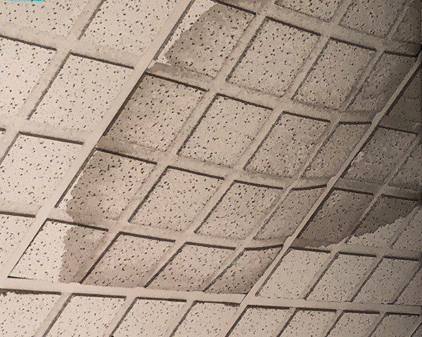 Why Sustainable Ceilings Must be a Priority in Eco-Retail Design