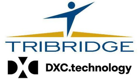 1tribridge