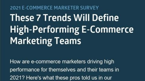 Ecommerce Marketing Infographic