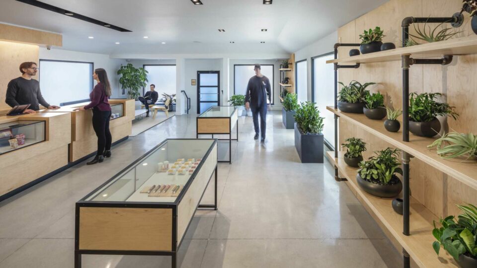 The view from the entry vestibule features custom freestanding display cases and customized wall shelving.