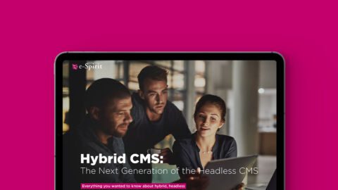 Hybrid CMS: The Next Generation of the Headless CMS