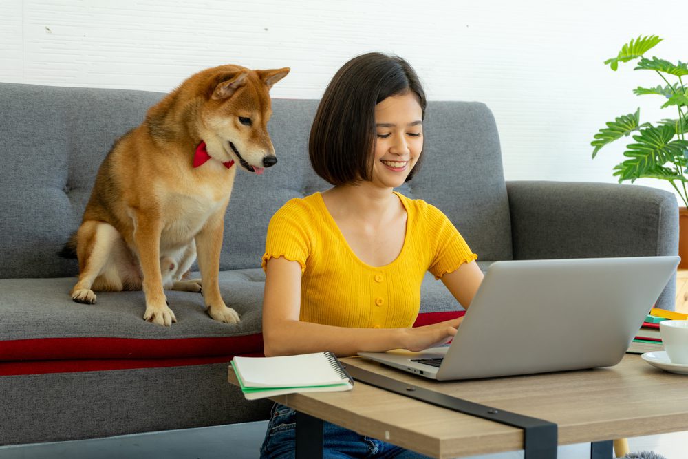 Petco deals live food
