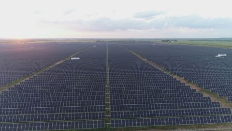 Ikea Solar Farm Sustainability