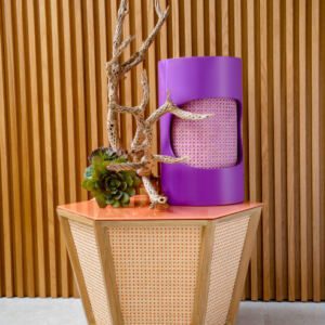 Samuelson Furniture Showroom 2