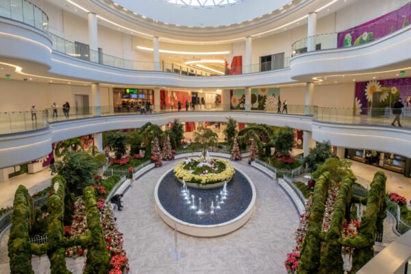 American Dream garden lounge area