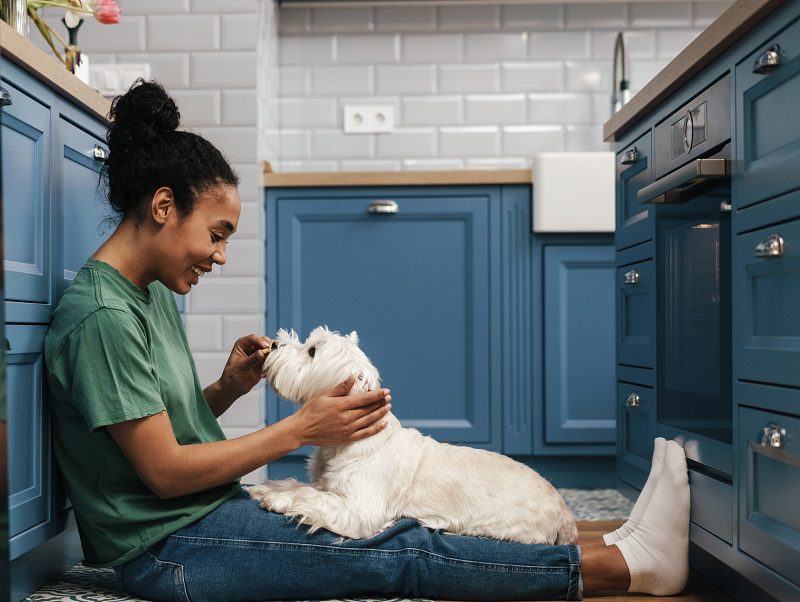 WAG Boost Revenue AOV With Personalize Intent Based Promotion