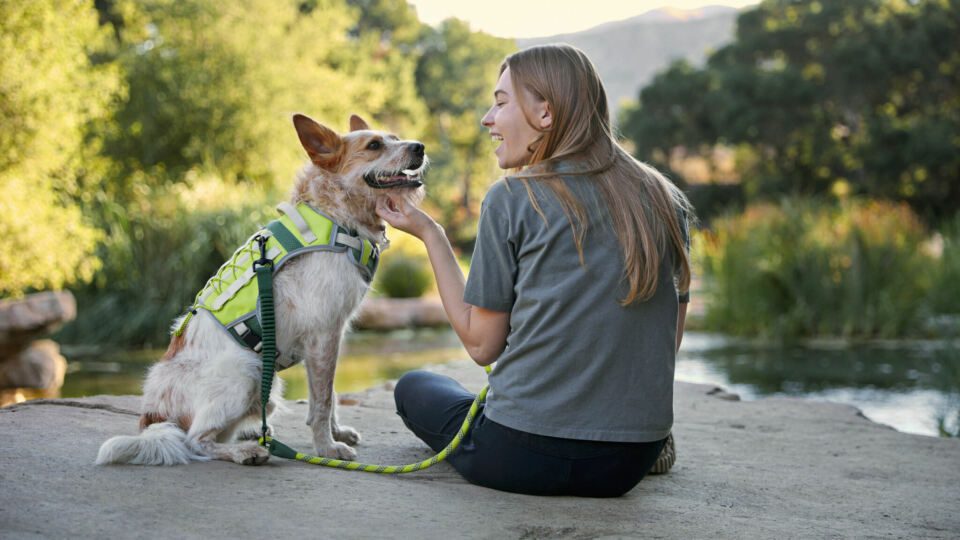 Petco and Backcountry Debut Gear Line for Dogs