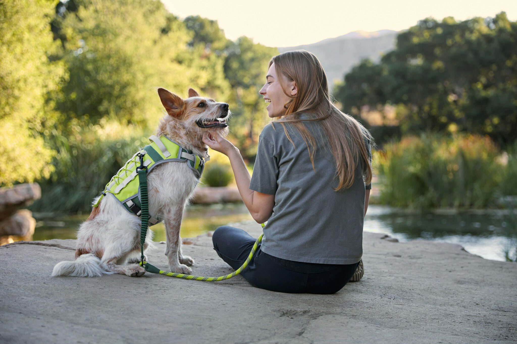 Petco and Backcountry Debut Gear Line for Dogs