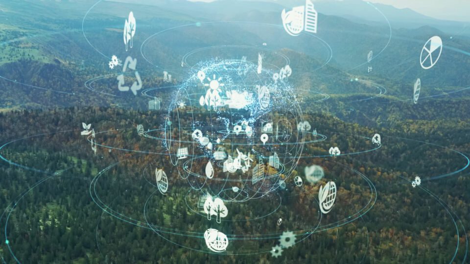 View of a forest with a digital image of the world and icons representing business