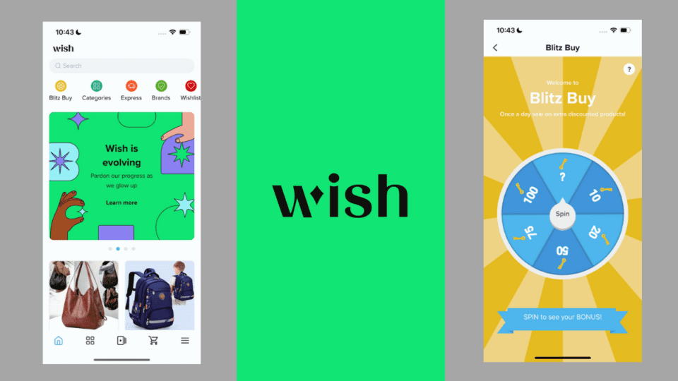 Wish has a new CEO and he has a comeback strategy to put the app back on top.