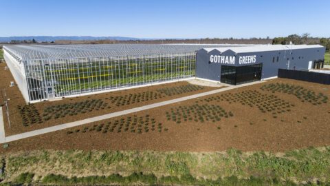 Hydroponic greenhouse network operator and plant-based food provider Gotham Greens has raised more than $310 million in new capital, which brings the Certified B Corporation’s total financing to $440 million. The proponent of indoor farming will use the funds to decentralize agricultural production by establishing local operations. Additionally, Gotham Greens will seek to increase access to produce grown in greenhouses and plant-based fresh food to regions across the U.S. through: