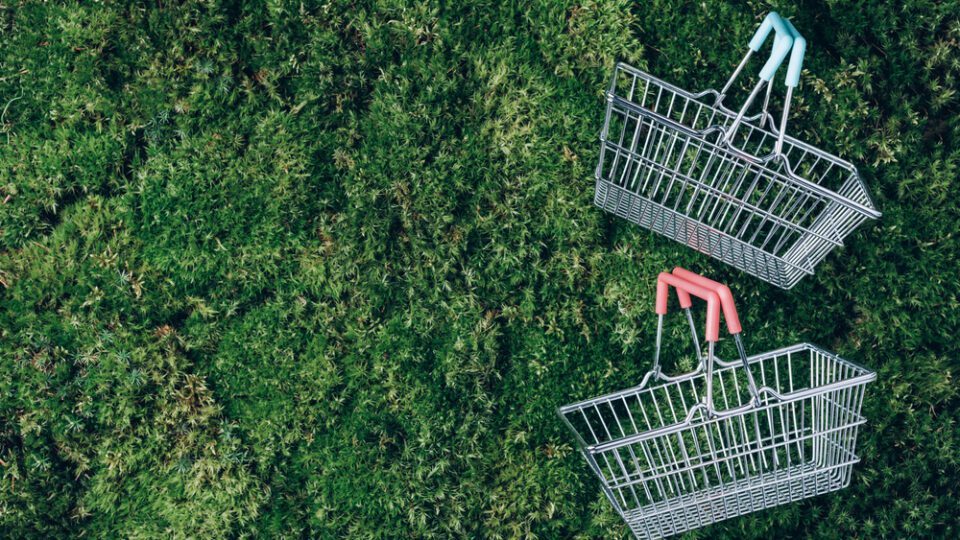 Sustainable store design found in a background of greenery and a traditional metal shopping basket