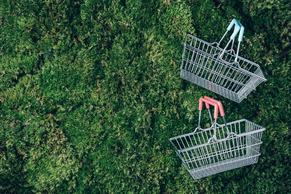 Sustainable store design found in a background of greenery and a traditional metal shopping basket