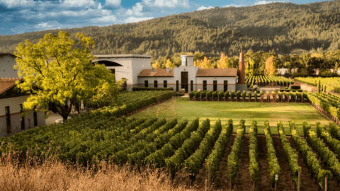 Clos Pegase Winery in Napa Valley, Calif.