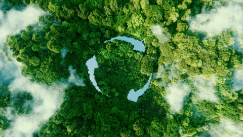 sustainability image