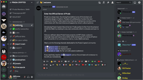 Screenshot from Prada's Discord.