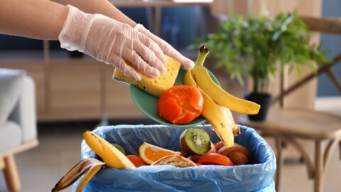 food waste image