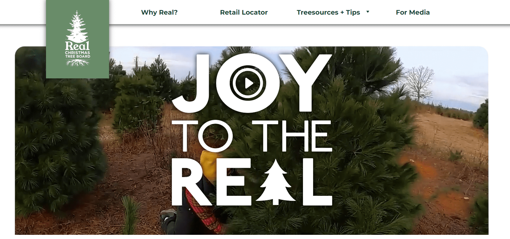 New research from the Real Christmas Tree Board found that 4% of consumers wait until the end of December to buy a Christmas tree.