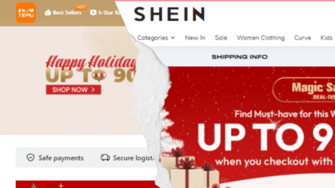 Temu has sued Shein again for anticompetitive practices.