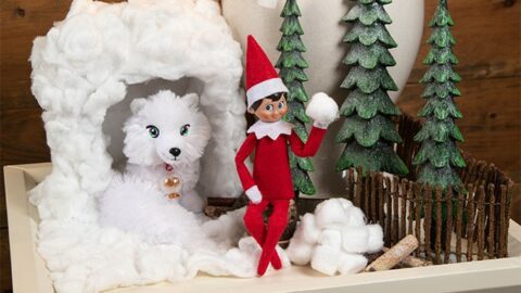 The Elf on the Shelf has grown into a holiday tradition for millions.