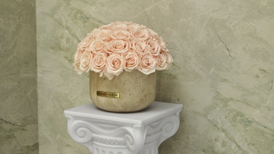 Photo Credit: Leonid Furmansky