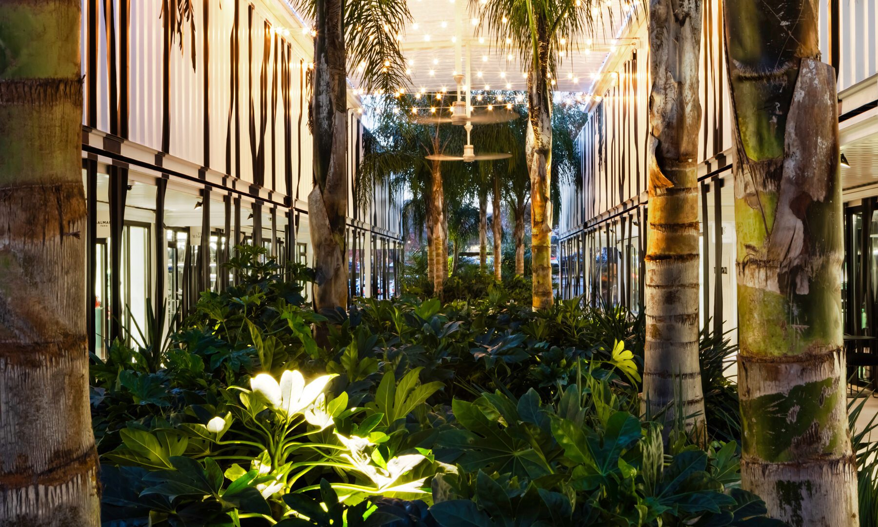 ACCESS Pop-Up center courtyard at night.