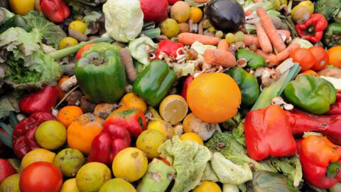 Rite Aid is partnering with Copia to track food waste and donate it to California nonprofits.