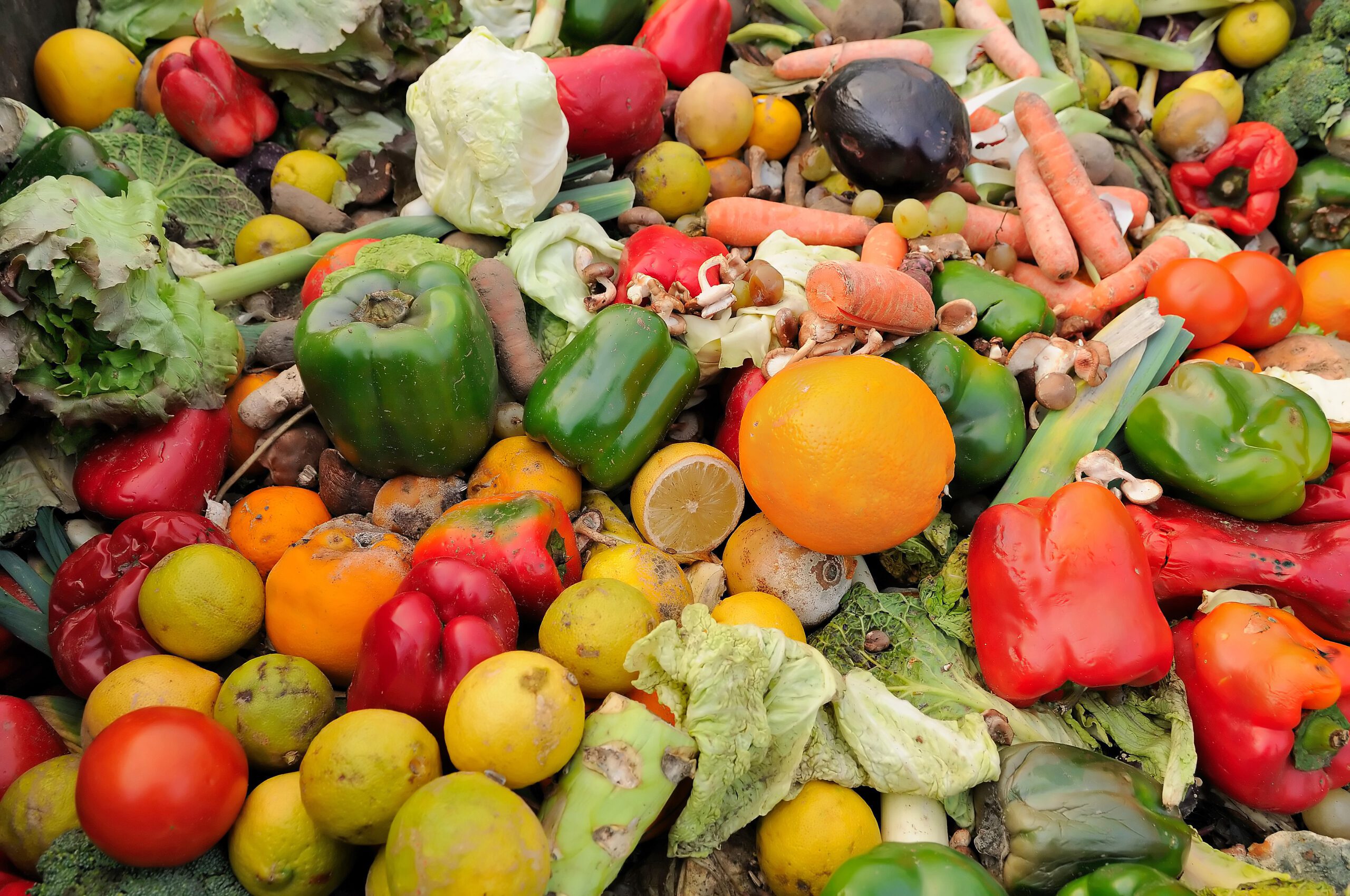 Rite Aid is partnering with Copia to track food waste and donate it to California nonprofits.