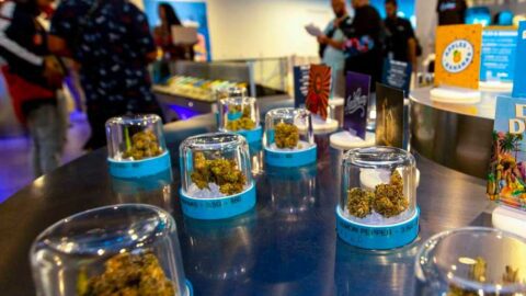 TRP has opened the doors to Cookies Chicago, the inaugural Windy City dispensary from the popular cannabis company Cookies.