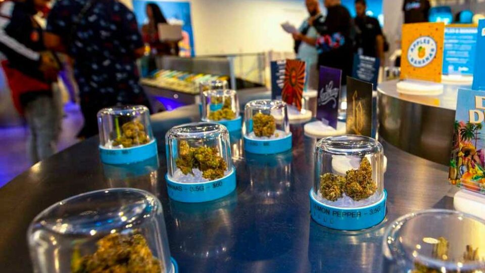 TRP has opened the doors to Cookies Chicago, the inaugural Windy City dispensary from the popular cannabis company Cookies.