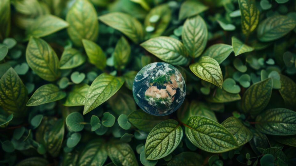 Today's consumers want to show their global citizenship and they're increasingly using their wallet to make an impact. Here's how brands are responding.