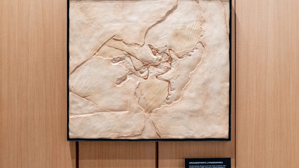 Photo credit: Jesse Liaw