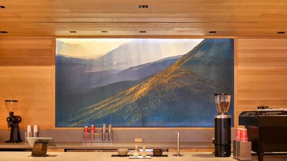 Photo credit: Jesse Liaw