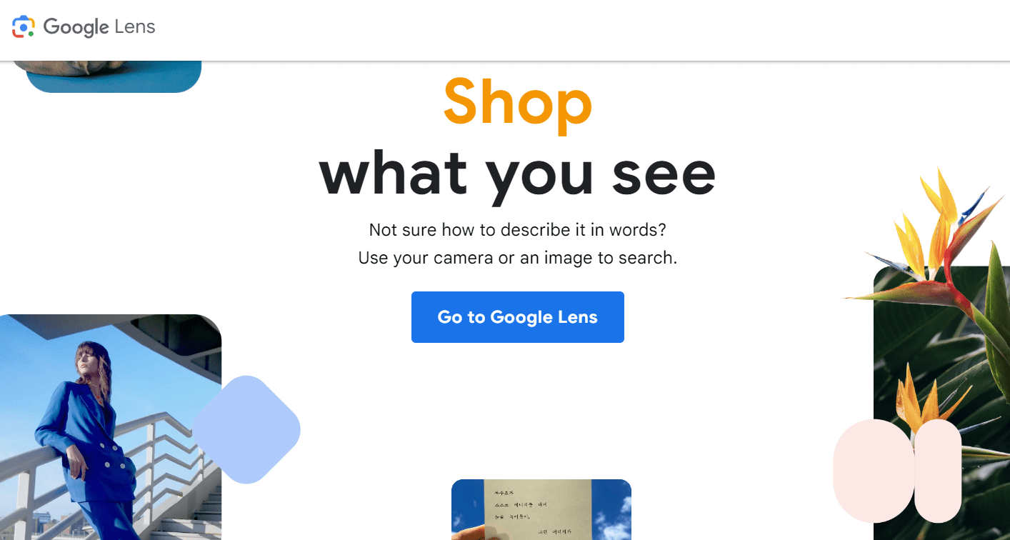 Google, Amazon Amp Up Visual Search Tools to Aid Shoppers - Retail ...