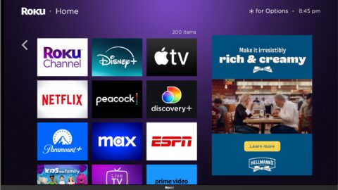 Hellmann's campaign on Roku home screen.