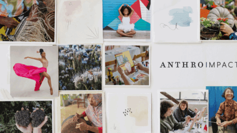 AnthroImpact homepage