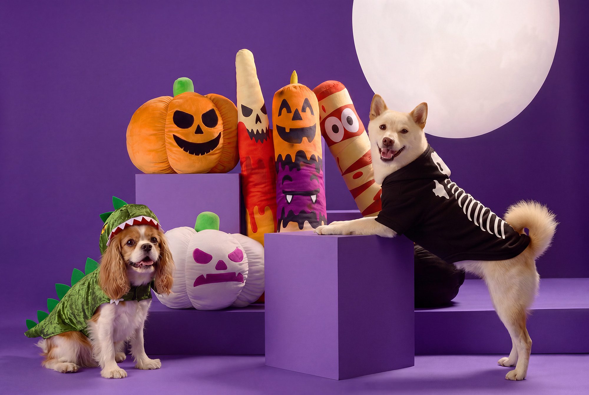 Petco-Halloween_Costumes-and-Toys