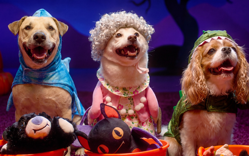 Petco_DogCostumes Halloween 2026. Courtesy of Petco.