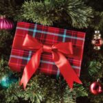 Target's Holiday Strategy Centers on New AI Shopping Assistant